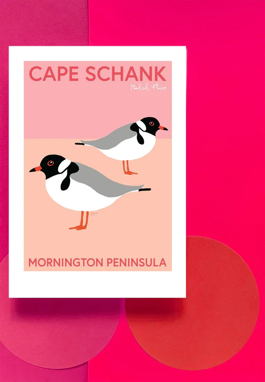 Cape Shank Print