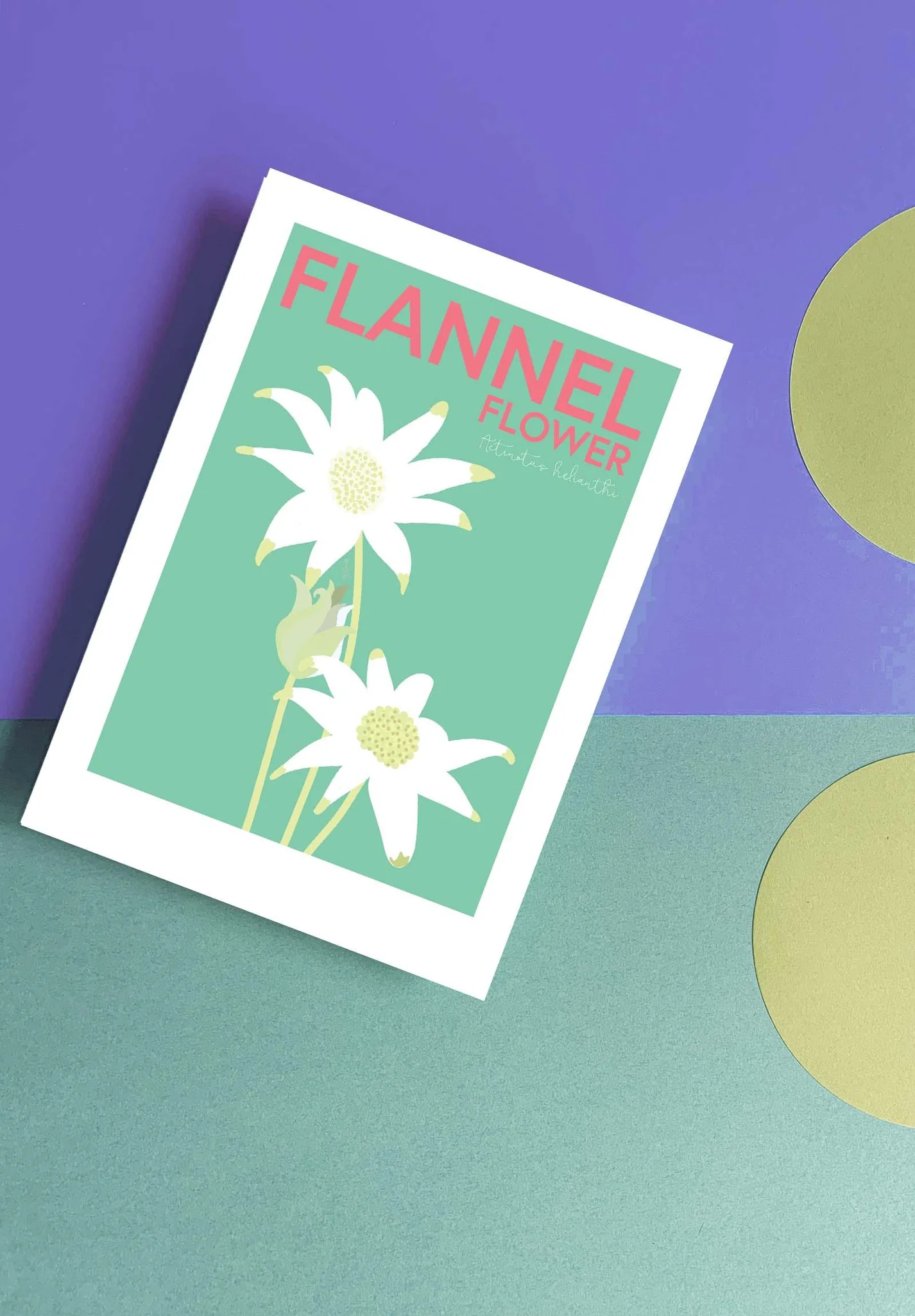 Flannel Flower Print