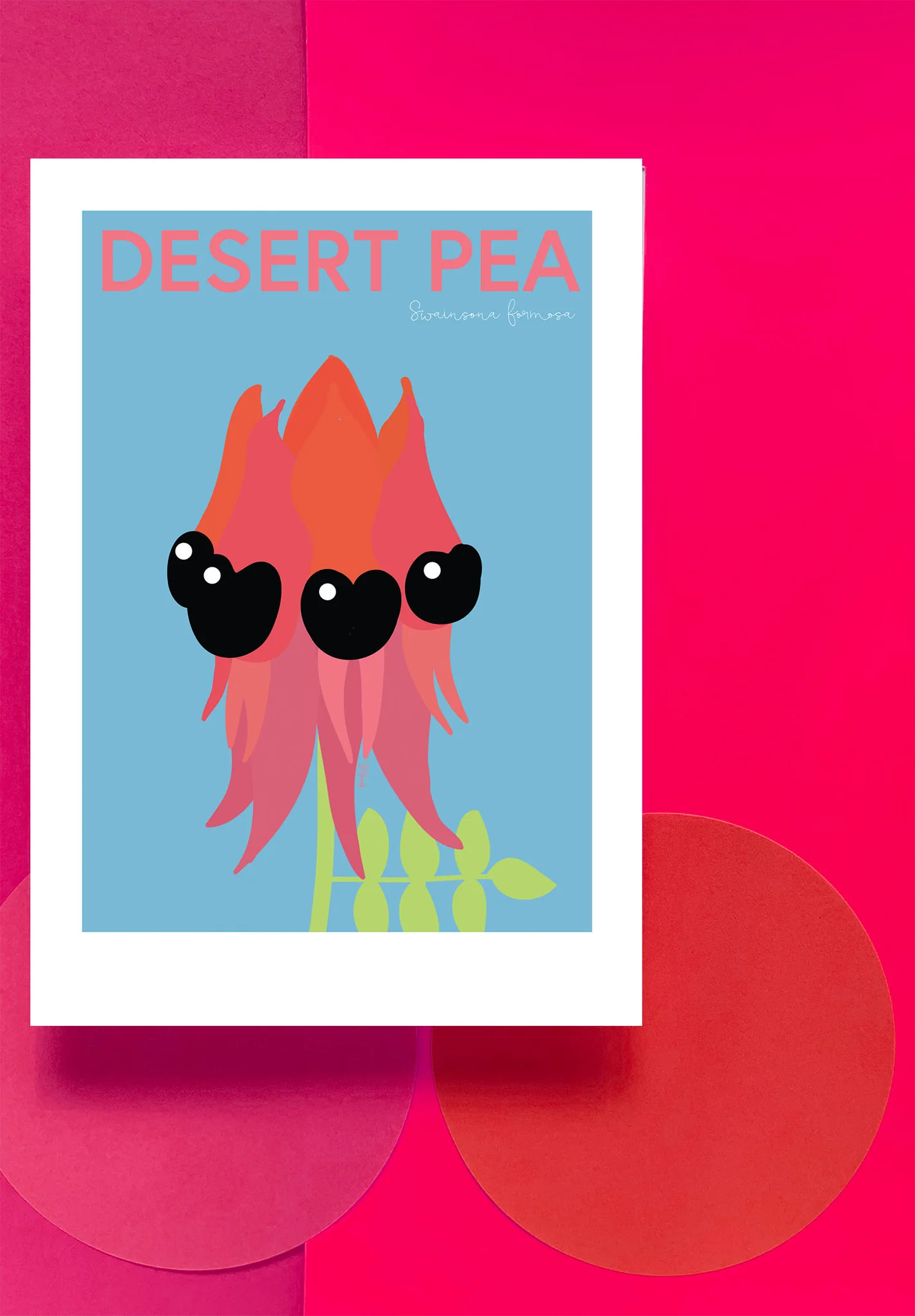 Sturt's Desert Pea Print