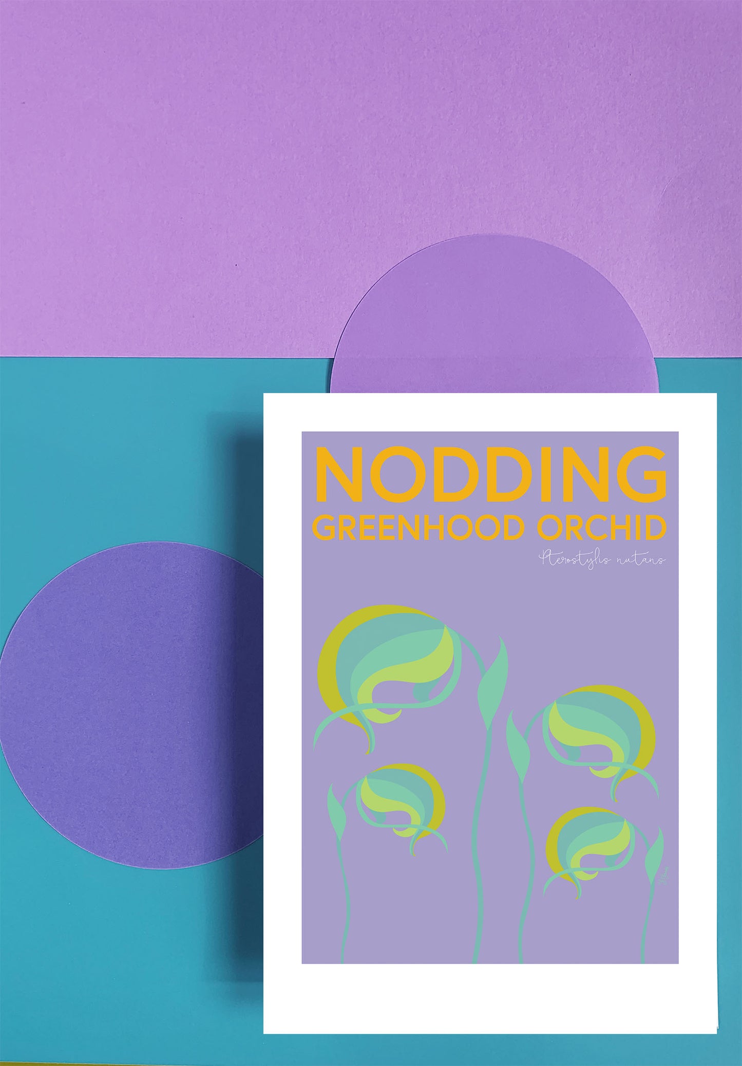 Nodding Greenhood Orchid Print