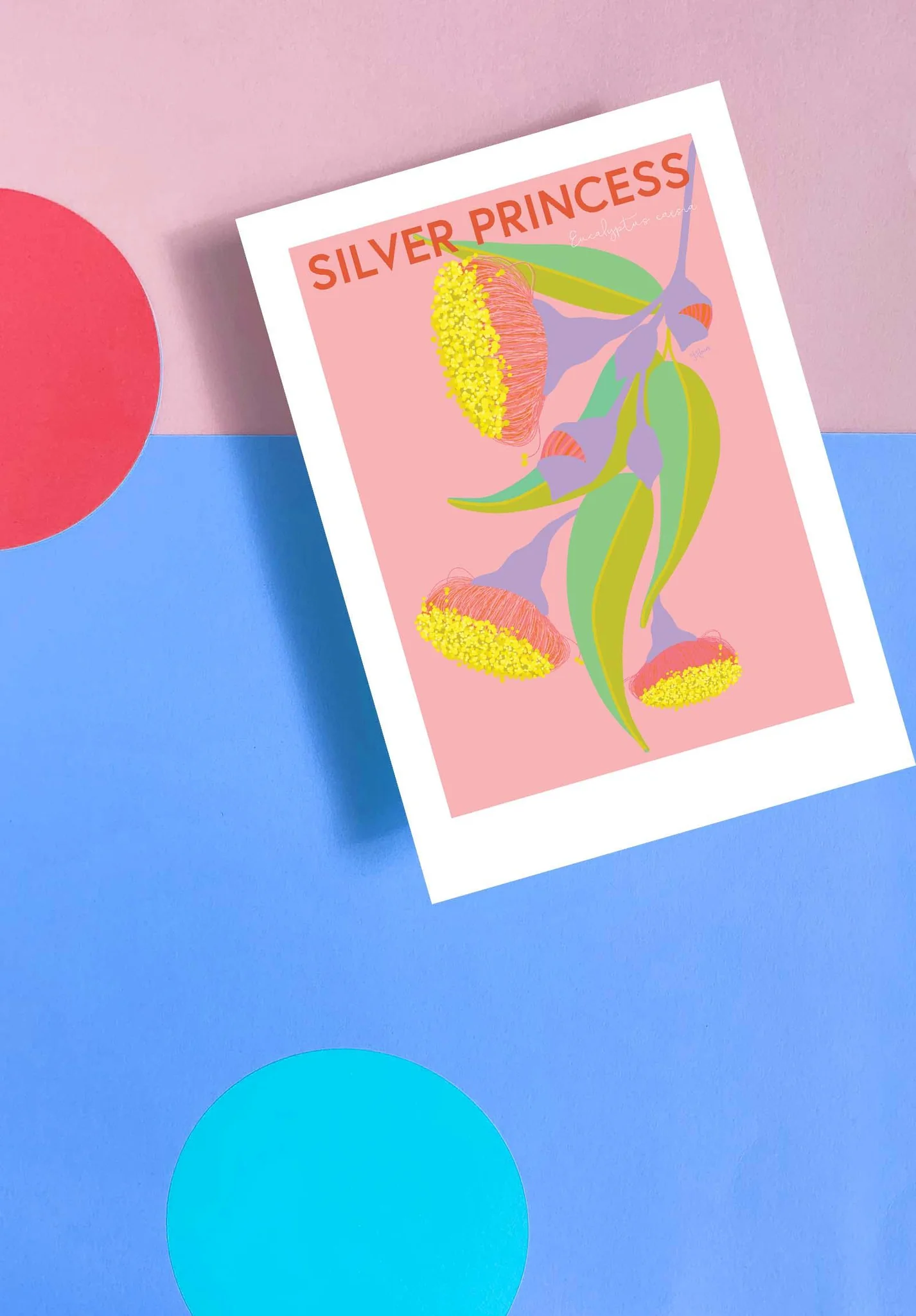 Silver Princess Print