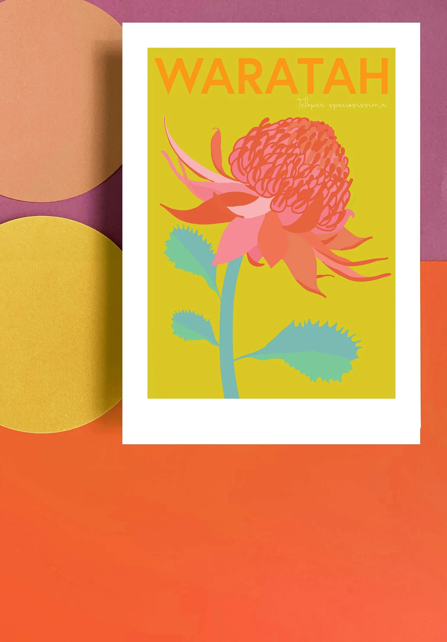 Waratah Print